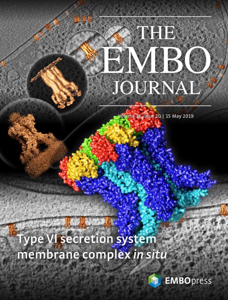 Publications Fronzes Lab Structure Function Of Bacterial Nanomachines